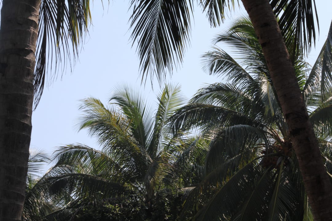 Ausblick in den Himmel Summer Island Maldives