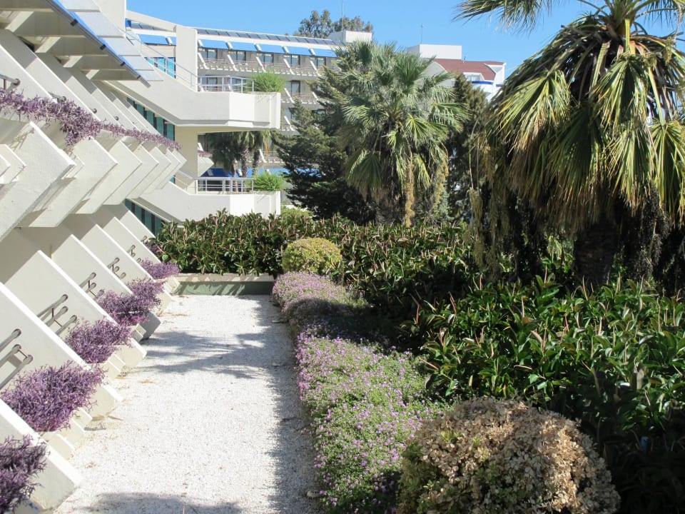 Gartenseite Side Star Elegance