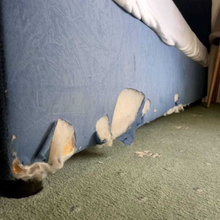 Zimmer Hotel Bergland-Hof