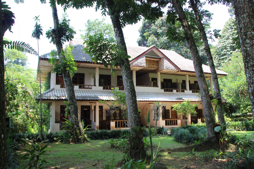 Außenansicht Ecolodge Bukit Lawang
