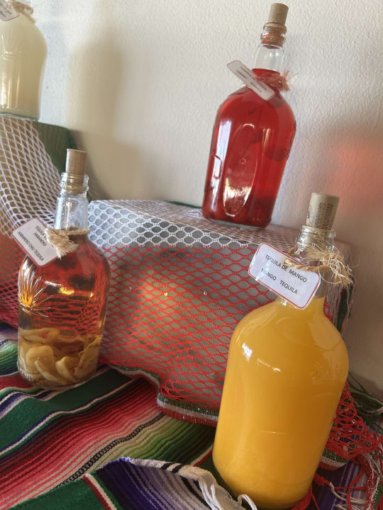 Gastro Akumal Bay Beach & Wellness Resort