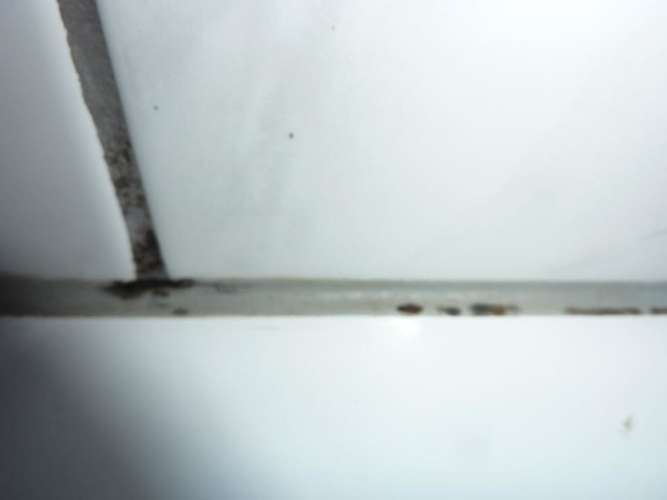 Badezimmer Cactus Beach