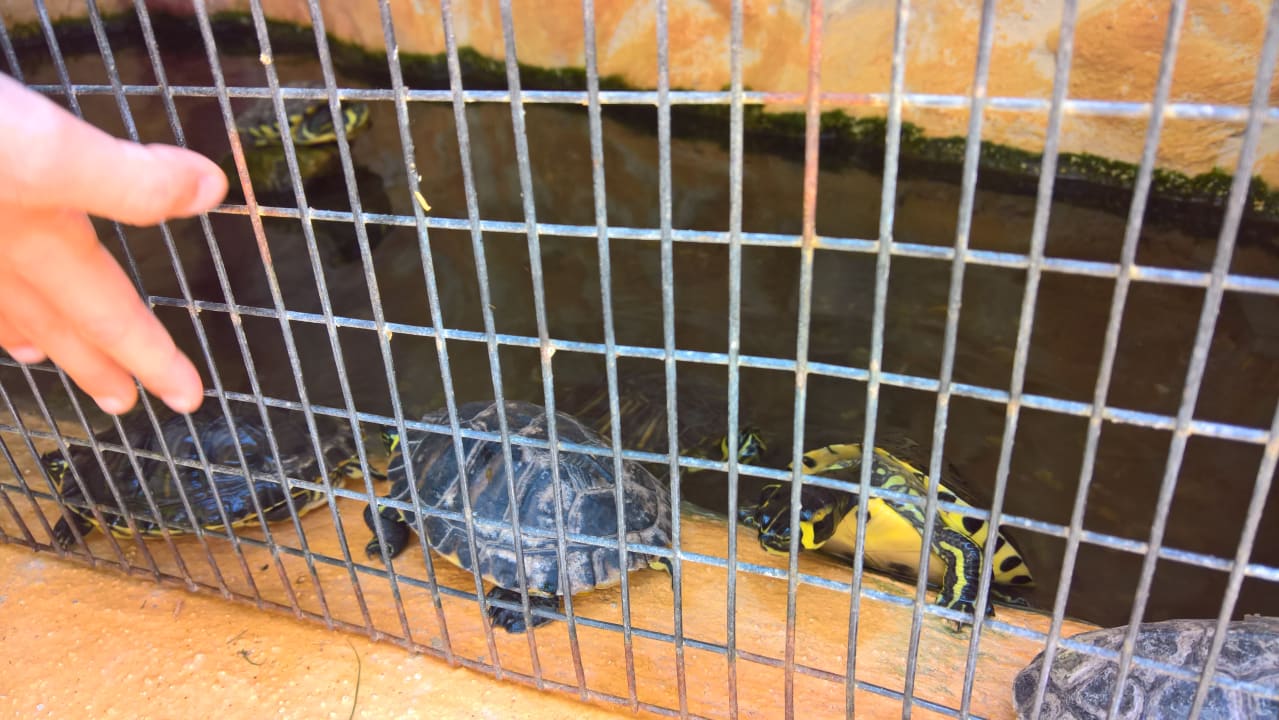 Sonstiges High Beach Resort