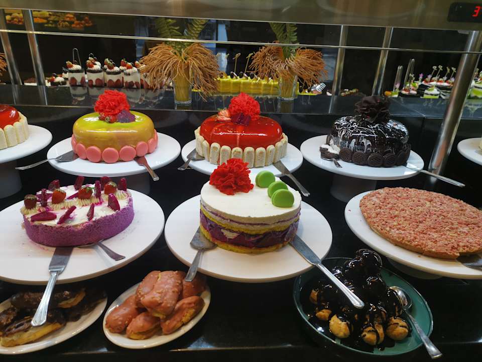 Gastro Seashell Vega