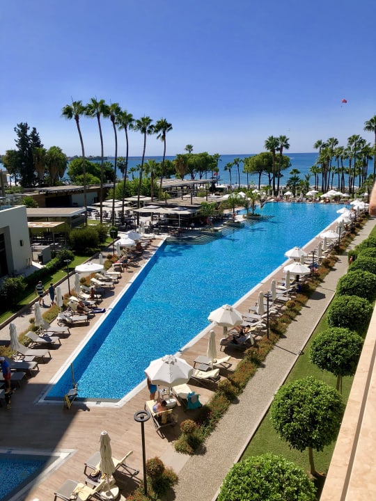 Pool Acanthus Cennet Barut Collection