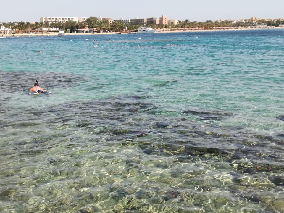 Strand Jaz Makadi Oasis Resort