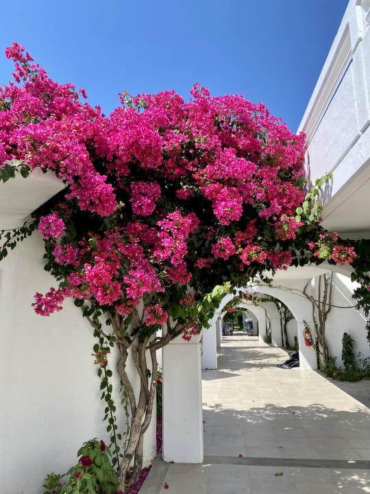 Außenansicht TUI KIDS CLUB Alex Beach