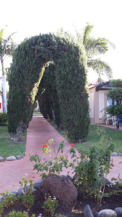 Gartenanlage allsun Hotel Esplendido