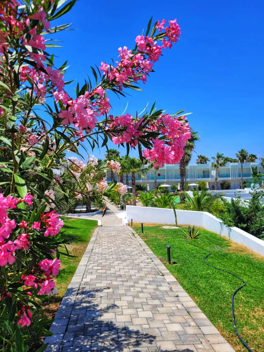 Außenansicht White Dreams Resort & Anex