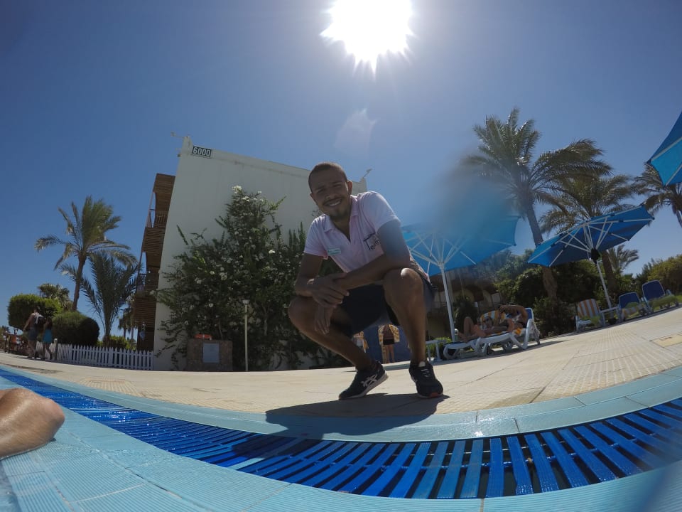 Sonstiges Desert Rose