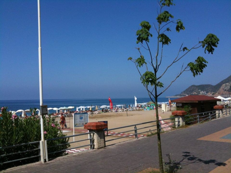 Strand Kleopatra Celine Hotel