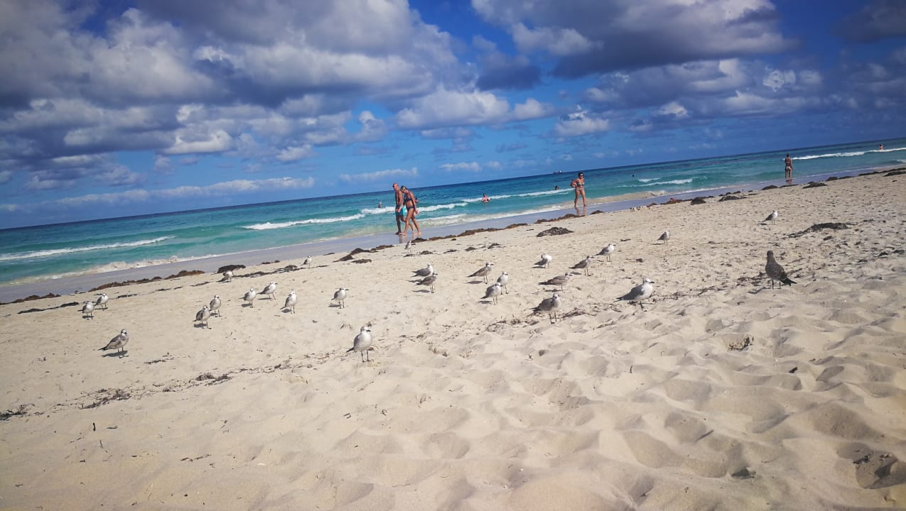Strand Meliá Internacional Varadero