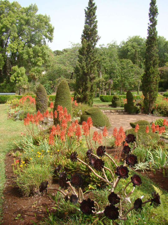 Kleiner Garten Hotel Casa Velha do Palheiro