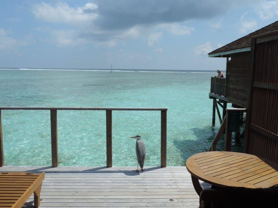 9 Meeru Maldives Resort Island
