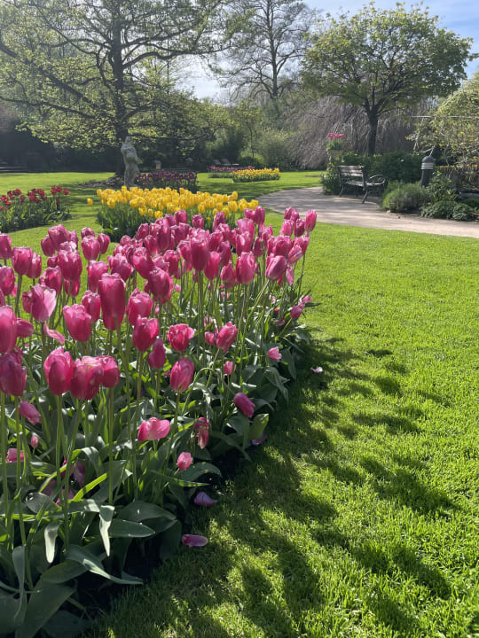 Gartenanlage Hotel Restaurant Rebstock Durbach