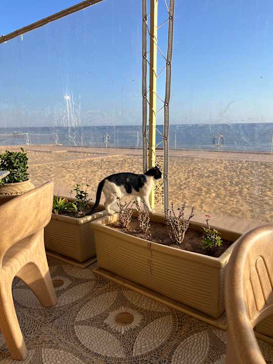 Sonstiges Akassia Swiss Resort