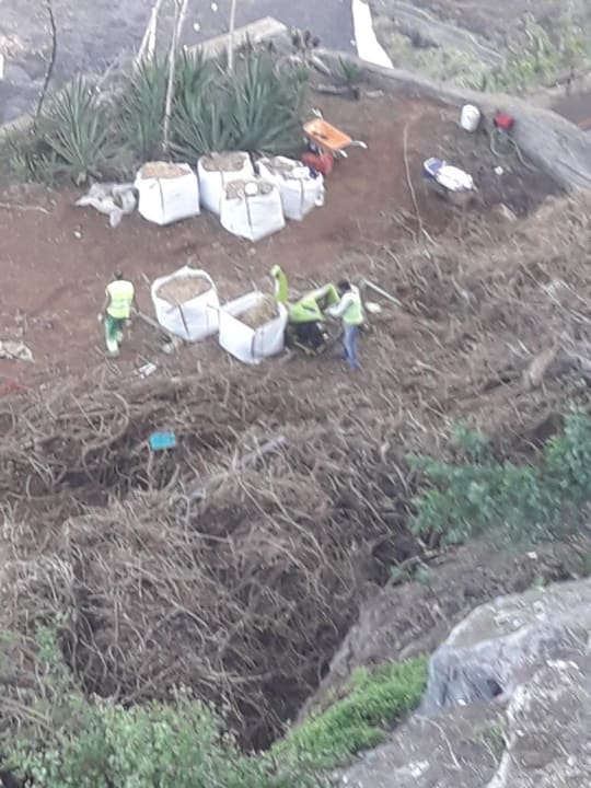 Schredderarbeiten ganztags vor meinem Balkon Atlantic Mirage Suites & Spa - Adults only