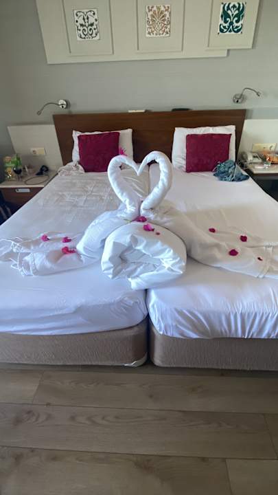 Zimmer Seher Sun Palace Resort & Spa