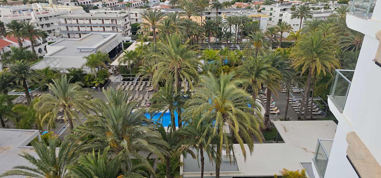 Ausblick Hotel Riu Palace Palmeras
