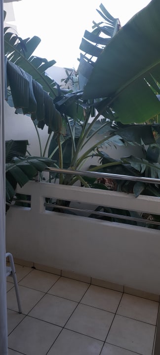 Zimmer TUI KIDS CLUB Alex Beach