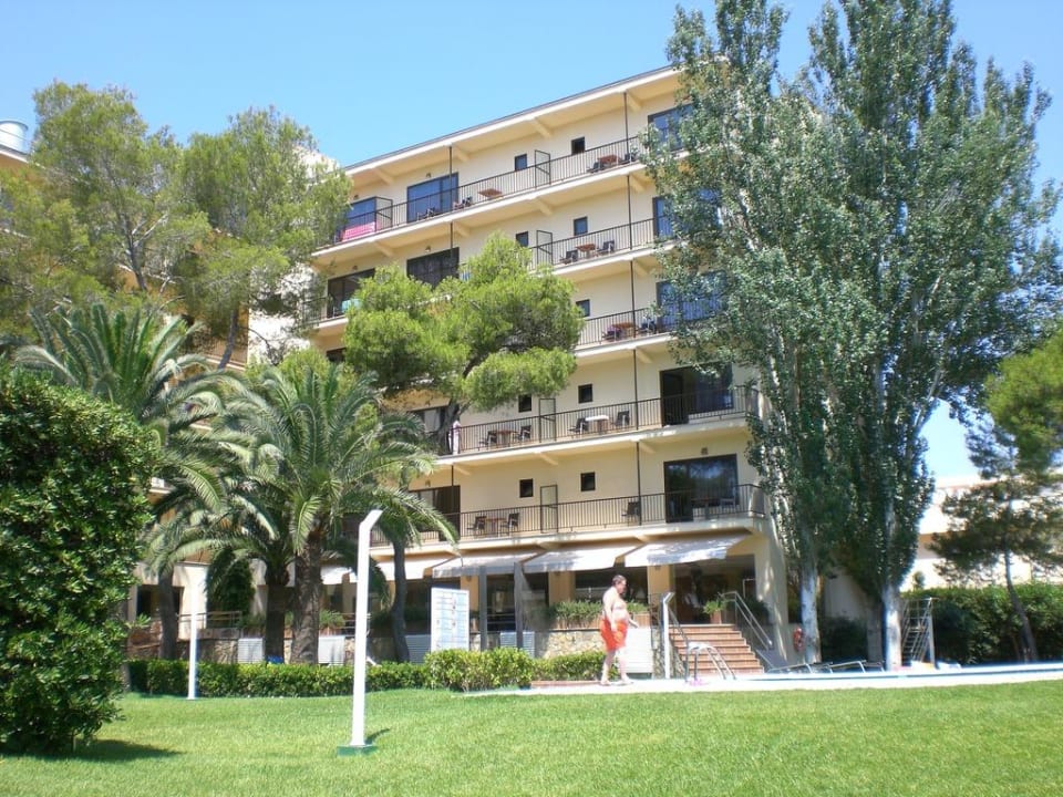 Hotel vom Pool aus AYA Seahotel - Adults only
