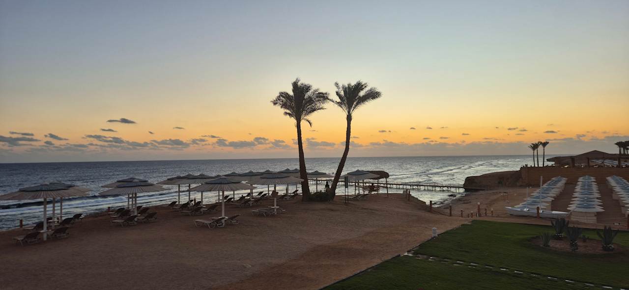 Strand JAZ Neo Reef Marsa