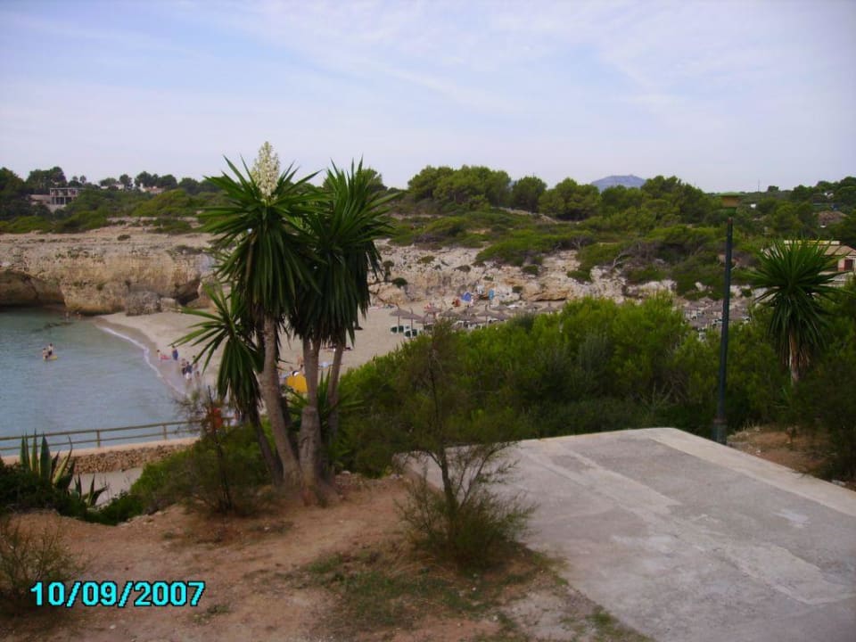 Badebucht Hotel Club Cala Romani