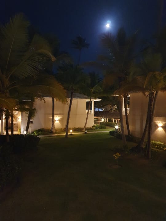 Gartenanlage Hotel Grand Palladium Palace Resort, Spa & Casino