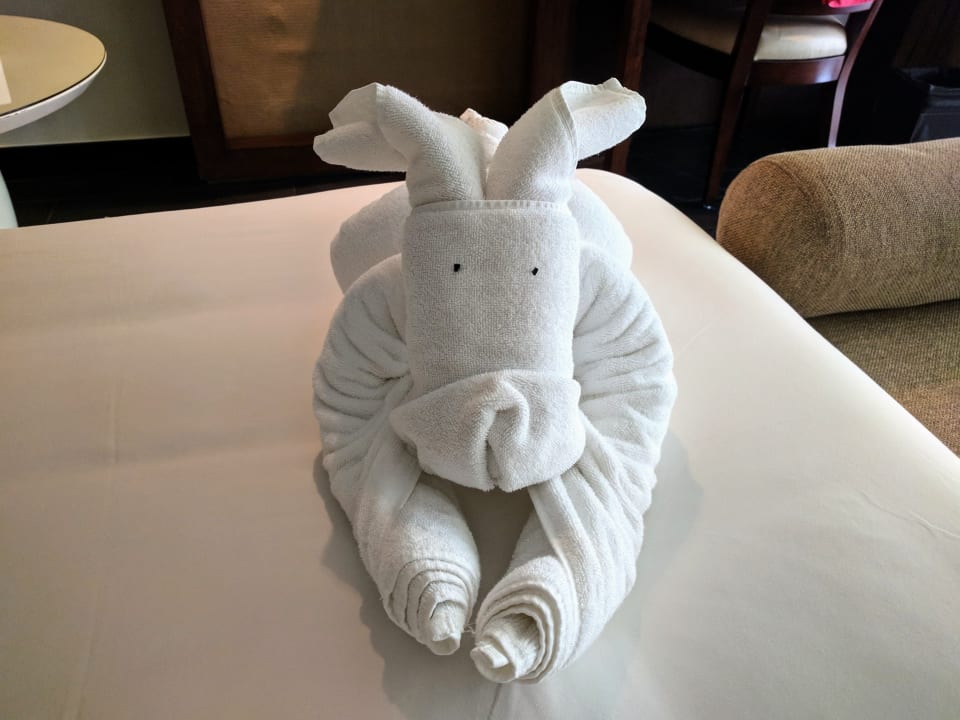 Zimmer Hotel Grand Hyatt Goa