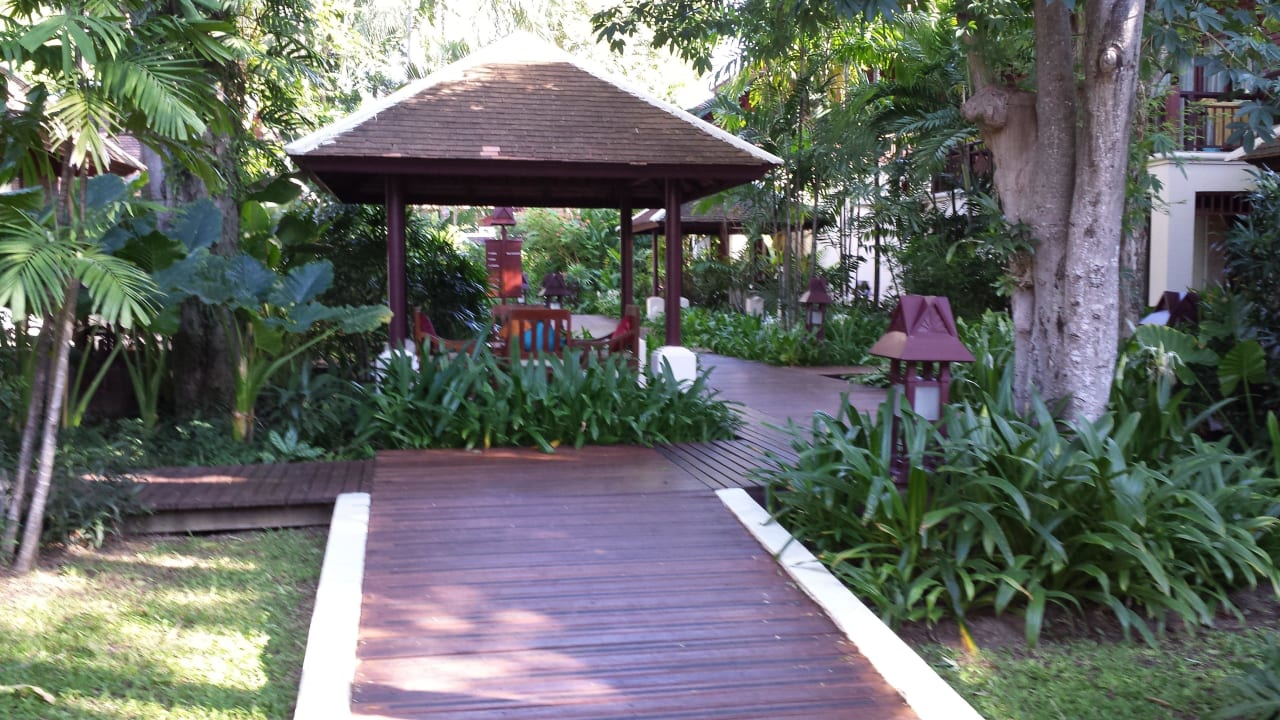 Alles grün! Schön angelegt. Chaweng Regent Beach Resort