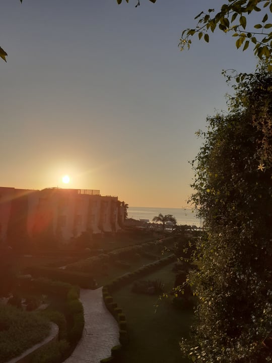 Zimmer Prima Life Makadi Resort