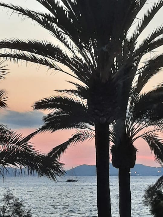Ausblick allsun Hotel Pil-lari Playa