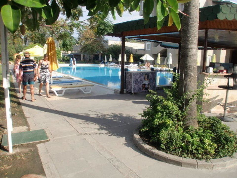 Große Pool mit Bar Senza Sunset Beach Hotel