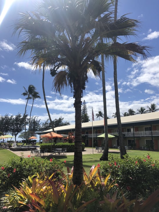 Außenansicht Kauai Shores Hotel