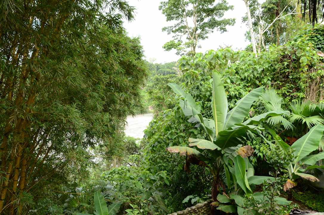 Blick auf den Rio Napo Guesthouse France-Amazonia