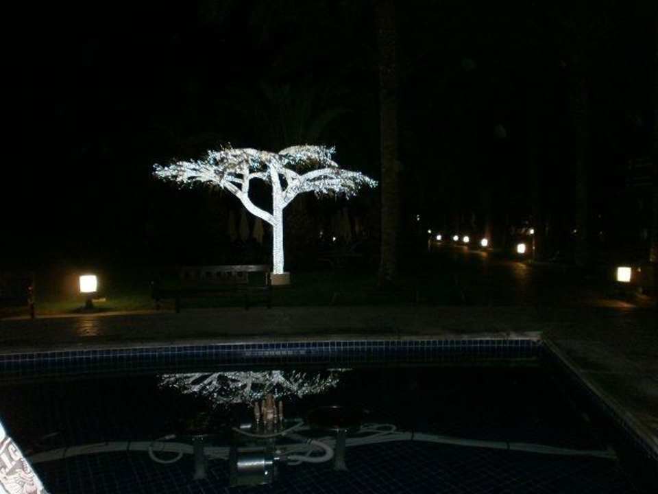 Palme beleuchtet Lopesan Costa Meloneras, Resort & Spa