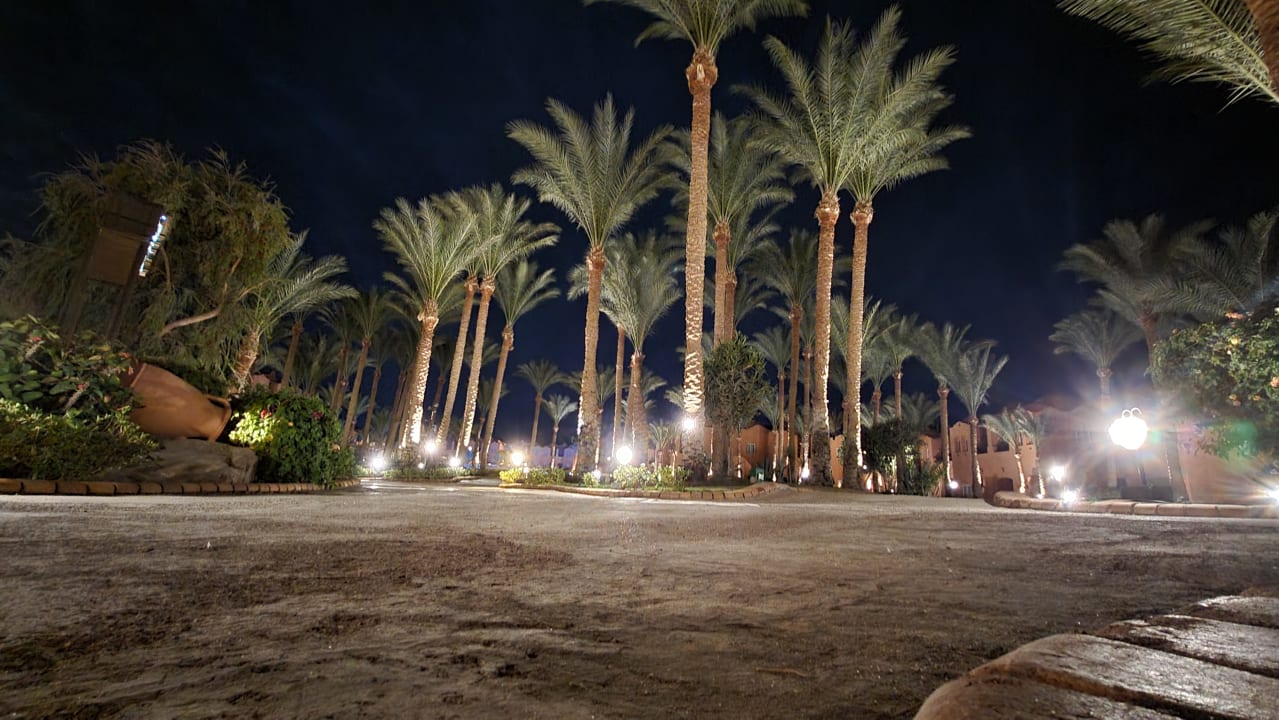 Gartenanlage Jaz Makadi Oasis Resort