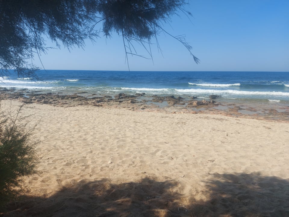 Strand TUI SUNEO Chrissi Amoudia