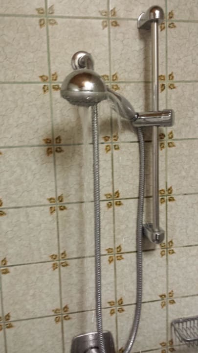 Duschkopf Gasthof Zum Braunen Hirschen