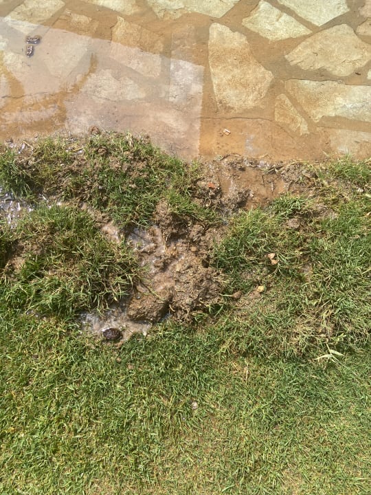 Gartenanlage TUI SUNEO Chrissi Amoudia