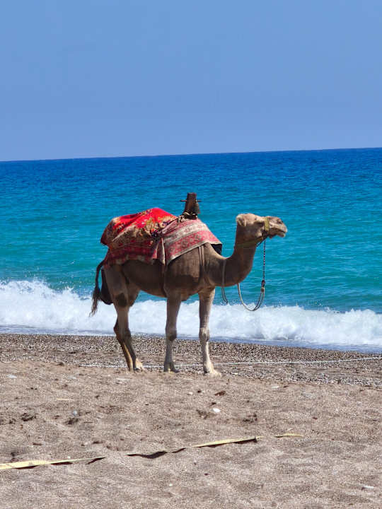 Sonstiges Seaden Sea Planet Resort & Spa