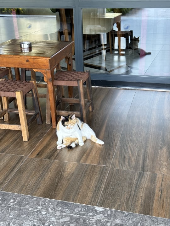 Zimmer Seaden Quality Resort & Spa