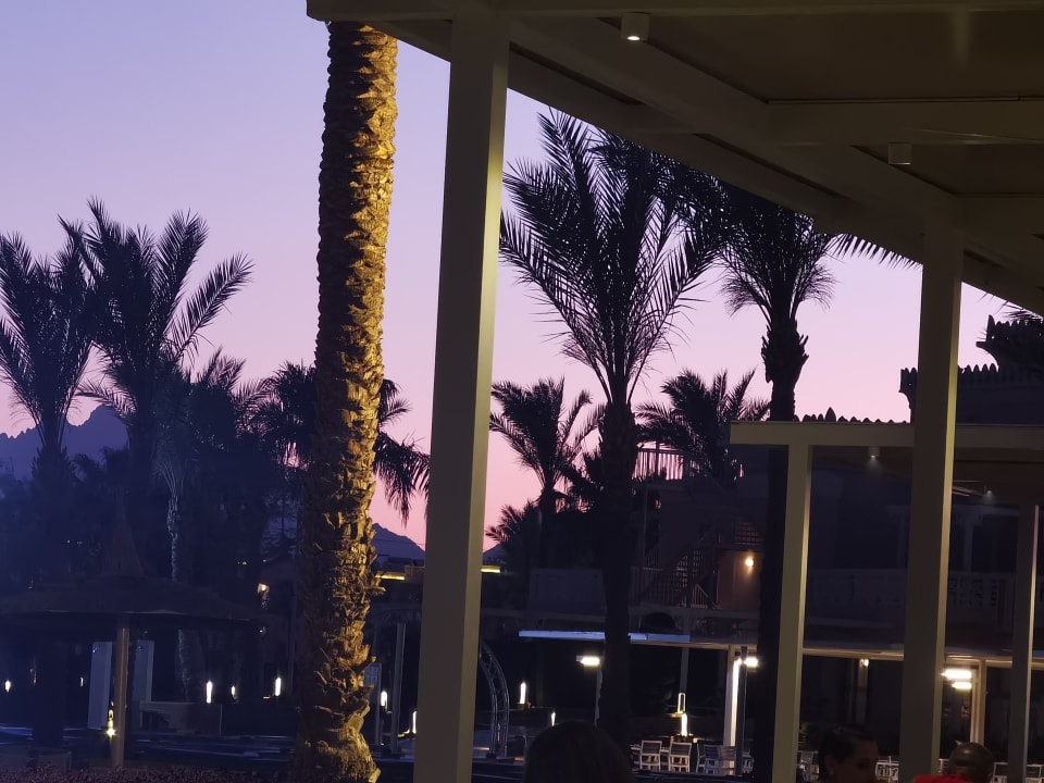 Gartenanlage Beach Albatros Resort
