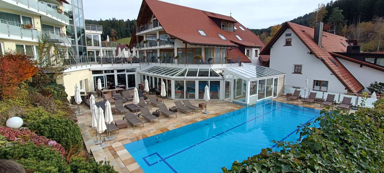 Pool Naturparkhotel Adler