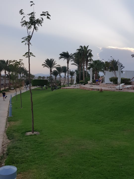 Garten Steigenberger Coraya Beach - Adults only