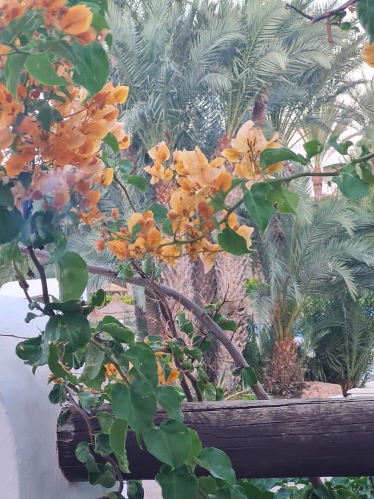 Ausblick Hotel Djerba Resort