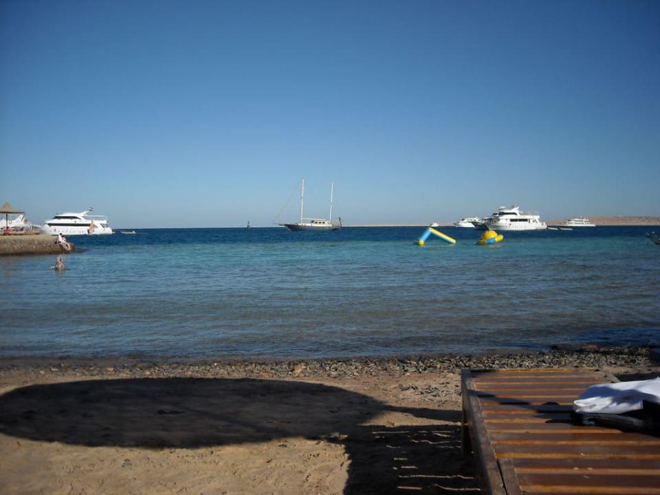 King Tut King Tut Resort