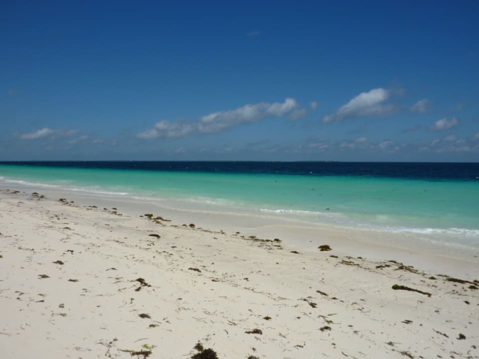 Ebbe Royal Zanzibar Beach Resort