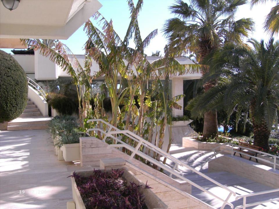 Im Hintergrund das Hallenbad Side Star Elegance