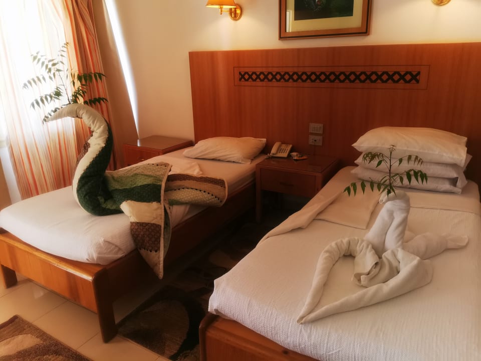 Zimmer Menaville Safaga